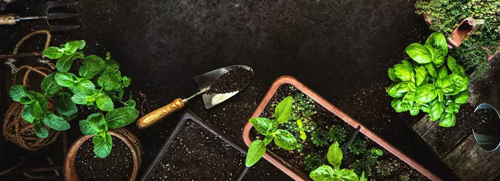 dystrybucja surowców dla branży ogrodniczej